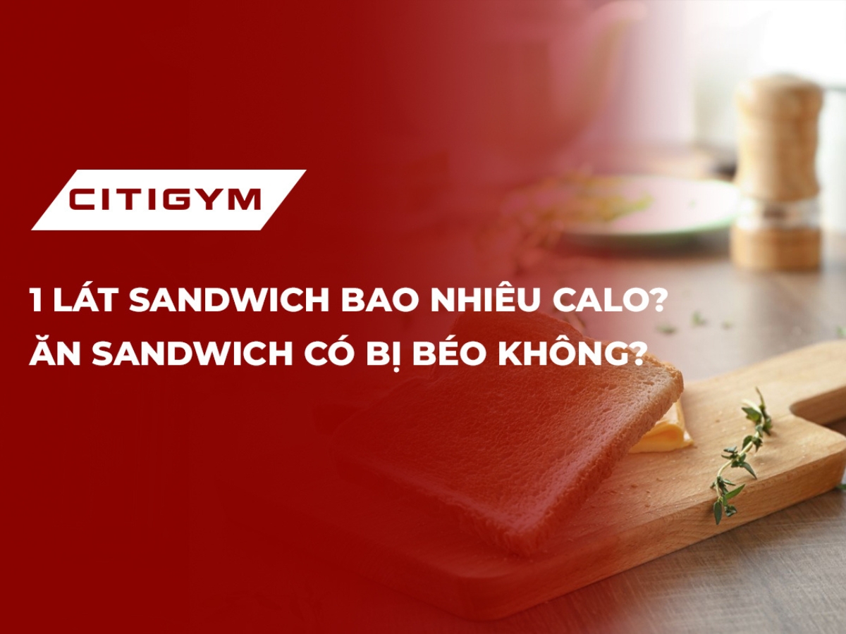 1 lát sandwich bao nhiêu calo? Ăn sandwich có bị béo không?