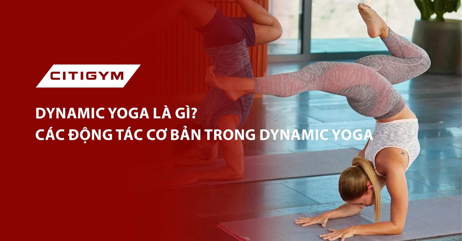 Dynamic yoga là gì? Các động tác cơ bản trong Dynamic yoga