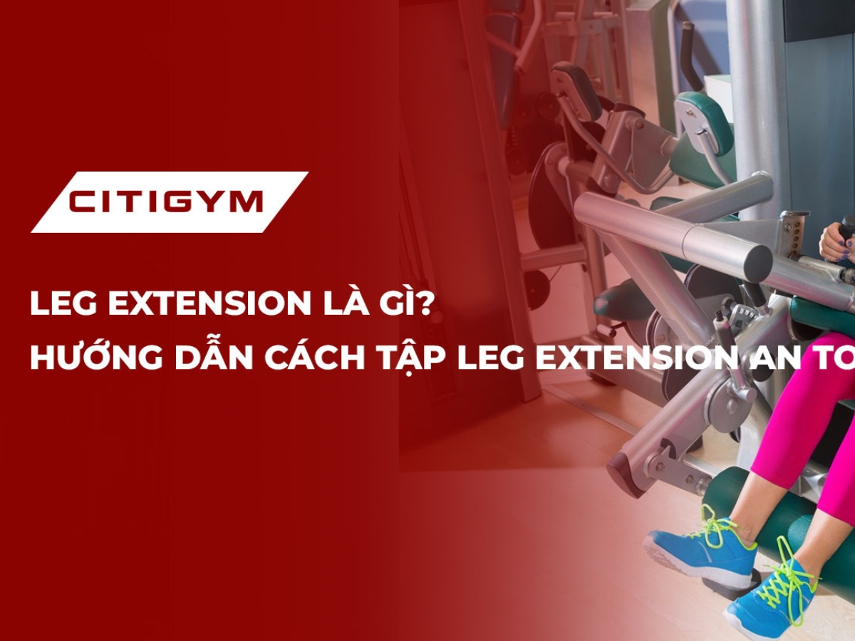 Leg extension là gì? Hướng dẫn cách tập leg extension an toàn