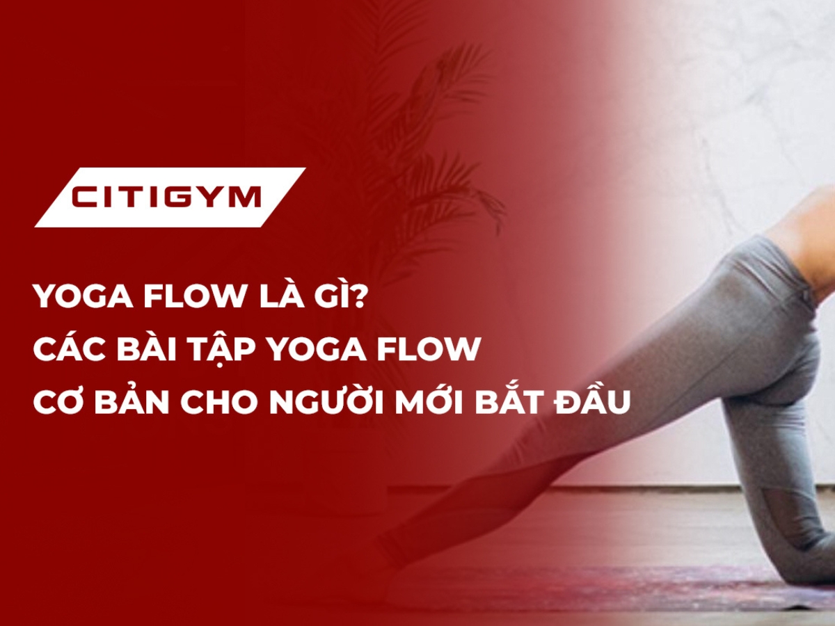 Yoga flow là gì? Các bài tập yoga flow cơ bản cho người mới bắt đầu
