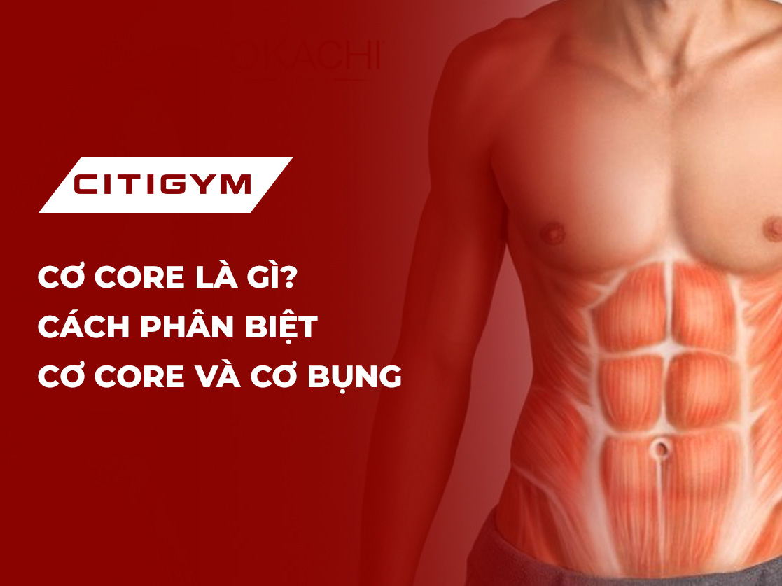 Cơ core là gì? Cách phân biệt cơ core và cơ bụng