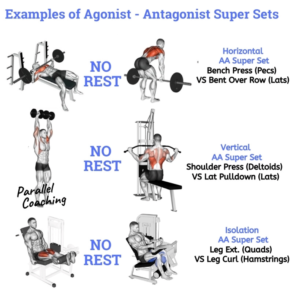 Agonist supersets - Cách tập Superset tăng cơ nhanh chóng