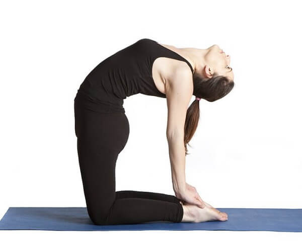 5. Tư thế con lạc đà (Camel Pose - Ushtrasana )