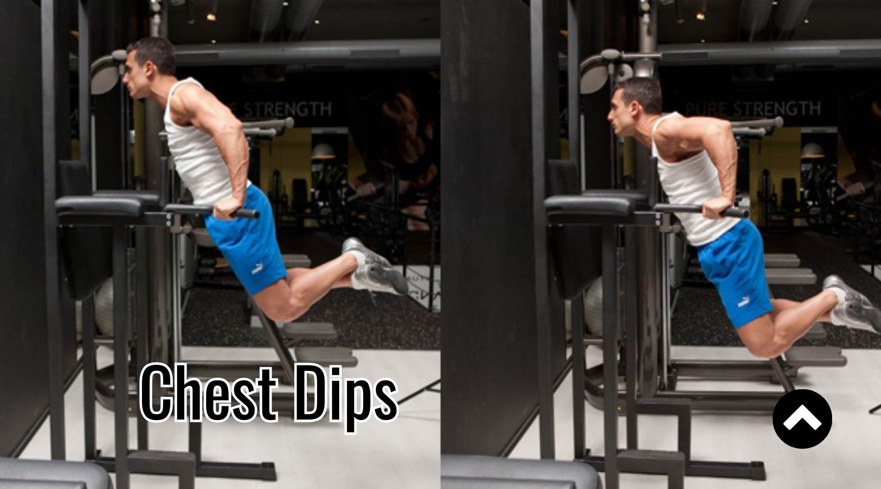 Chest Dips