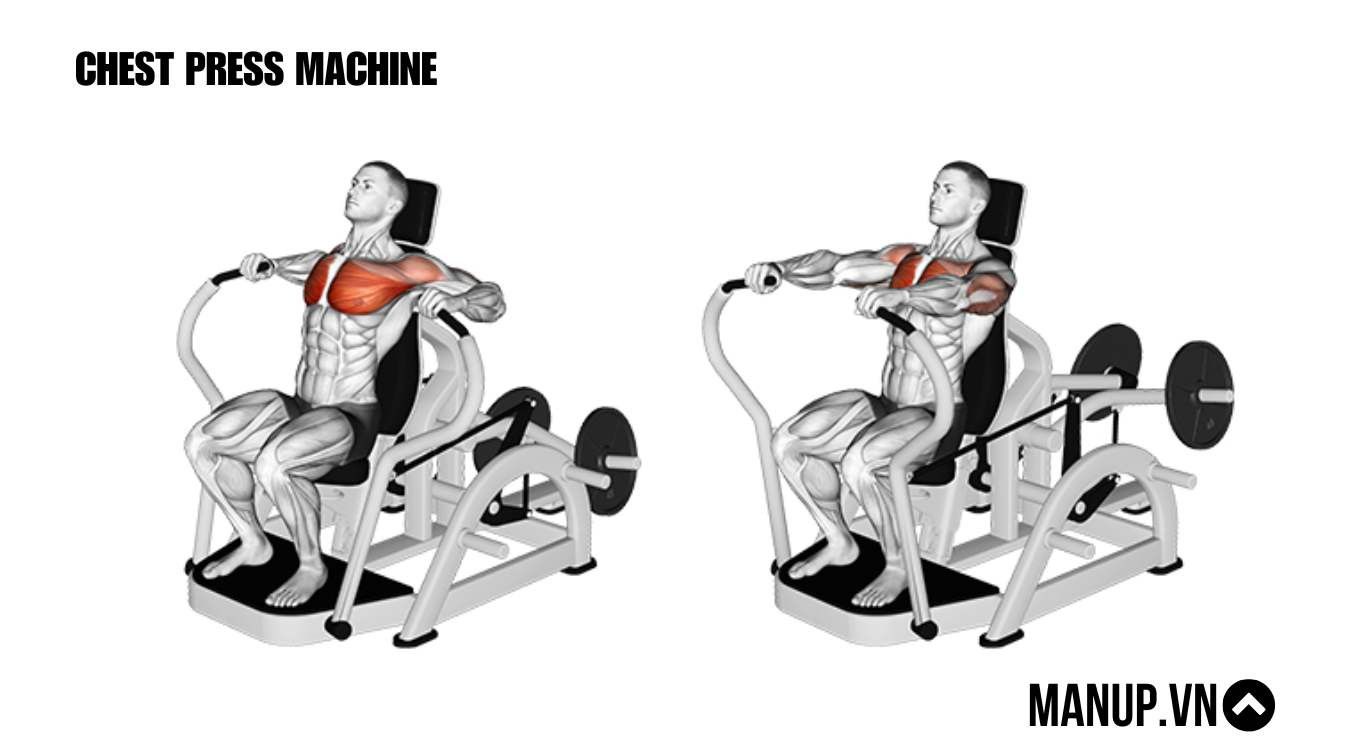 CHEST PRESS MACHINE