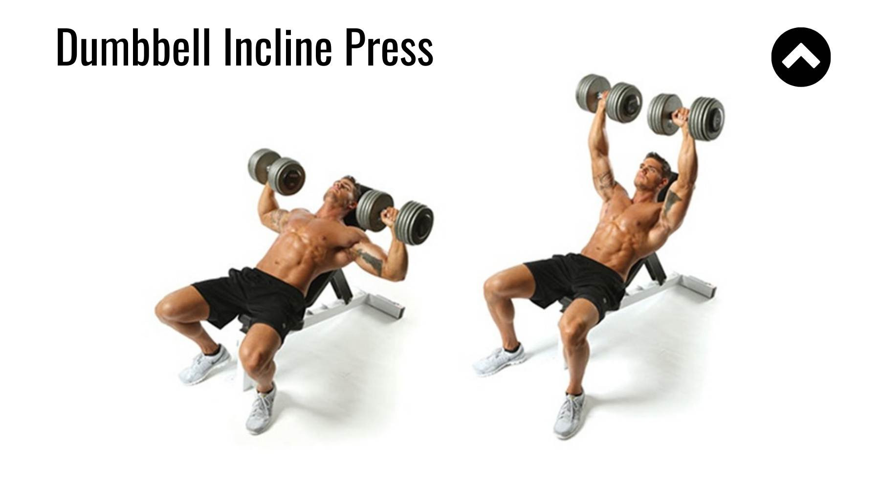 Đẩy tạ đơn trên ghế nghiêng (Incline Dumbbell Bench Press)