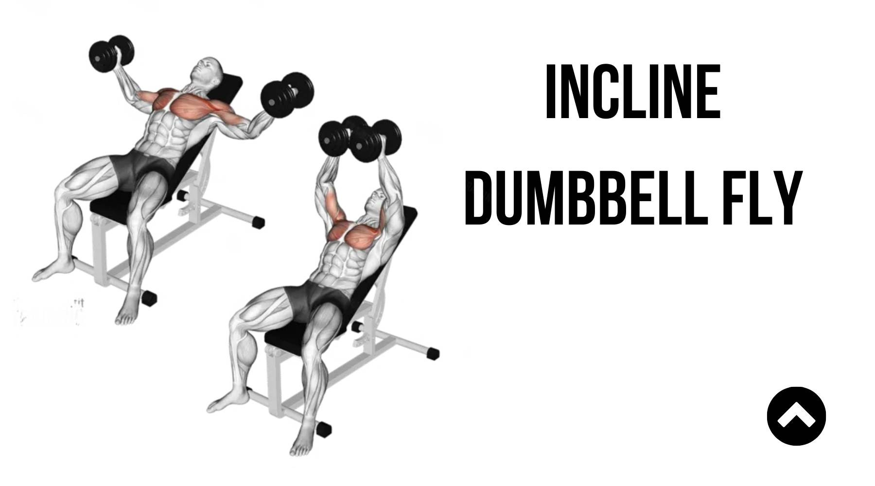 Ép ngực với ghế nghiêng (INCLINE DUMBBELL FLY)